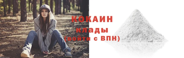 мдпв Алагир
