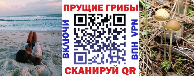 Галлюциногенные грибы прущие грибы  закладки  hydra   Старая Русса 