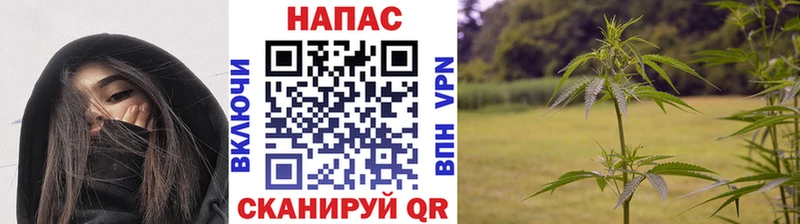 МАРИХУАНА ГИДРОПОН  Старая Русса 